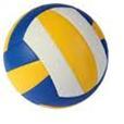 volly